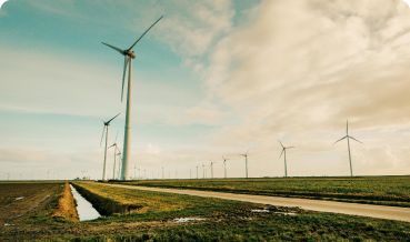 El Turismo y la Sustentabilidad image