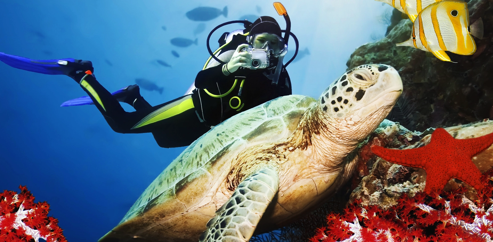 imagen home banner desktop